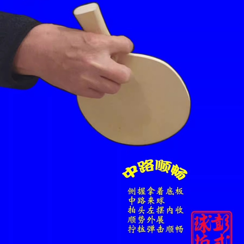 Raket Tenis Meja Gaya Cina/Jep - Table Tennis In Japanese ulasan dan harga